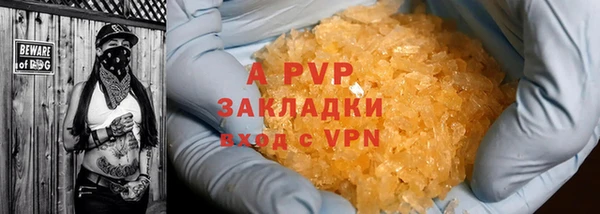 ПСИЛОЦИБИНОВЫЕ ГРИБЫ Богородицк
