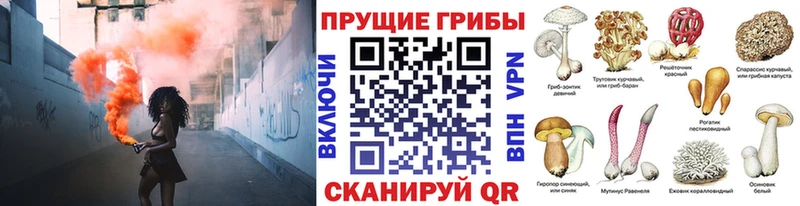 Галлюциногенные грибы прущие грибы  где можно купить наркотик  OMG ТОР  Полтавская 